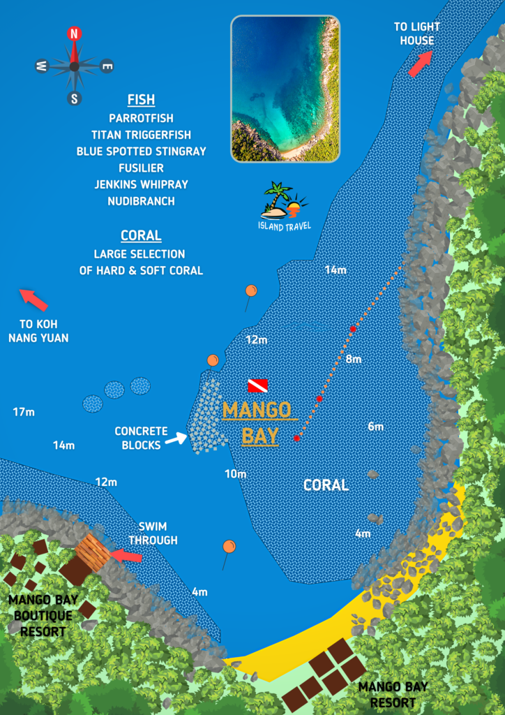 Mango Bay Big Blue Diving Koh Tao