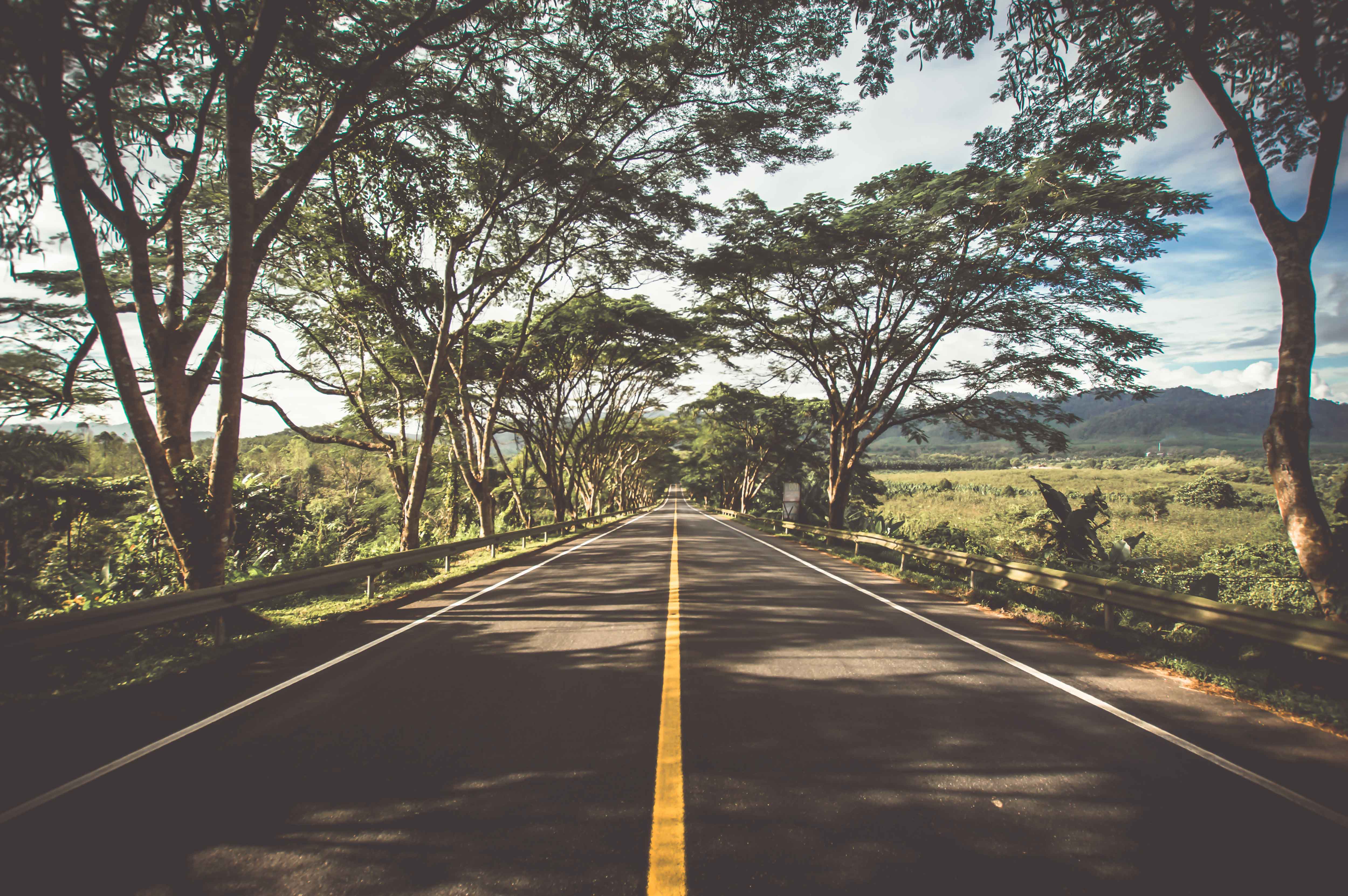 image of a long road with tress on each lane