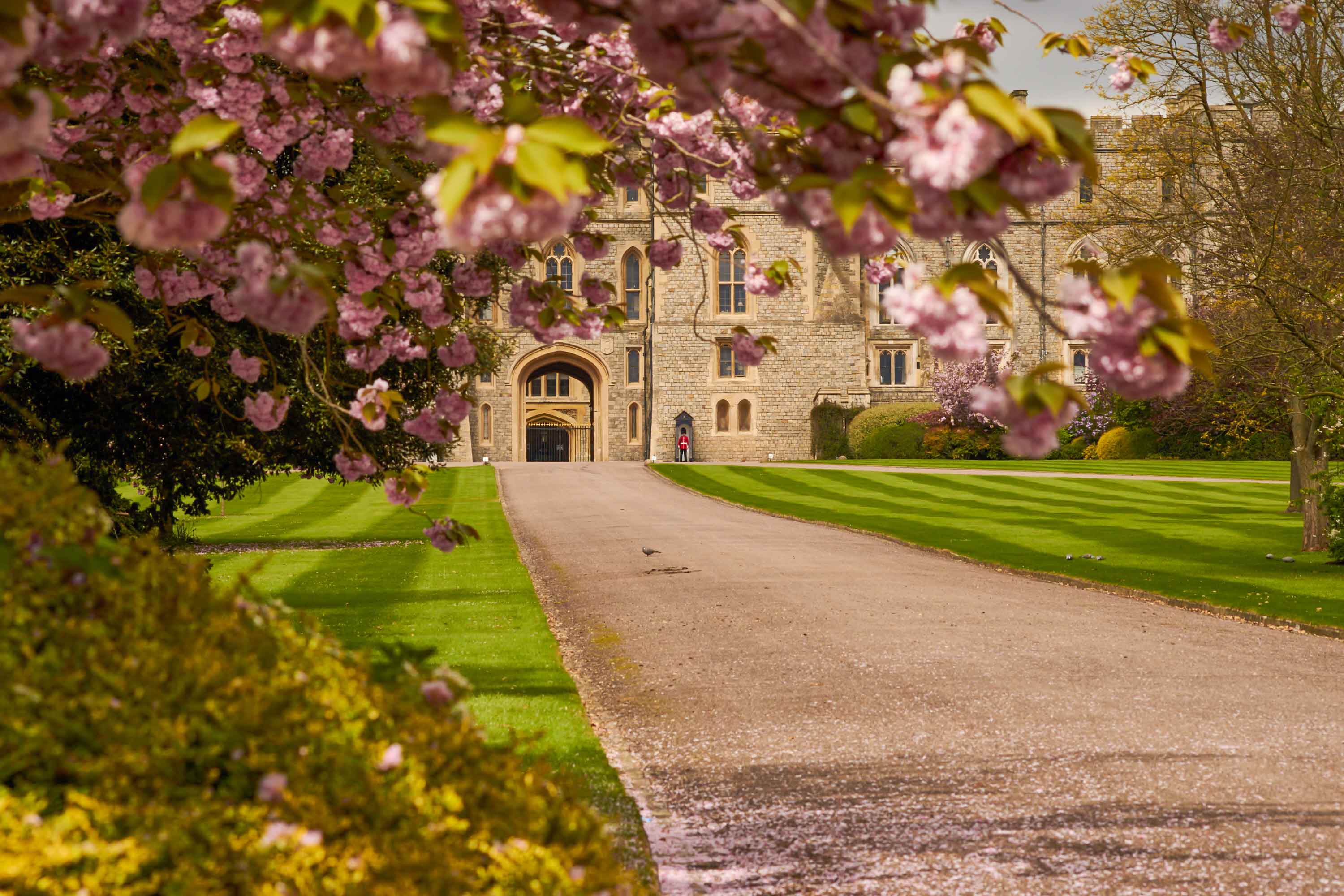 image of a university building