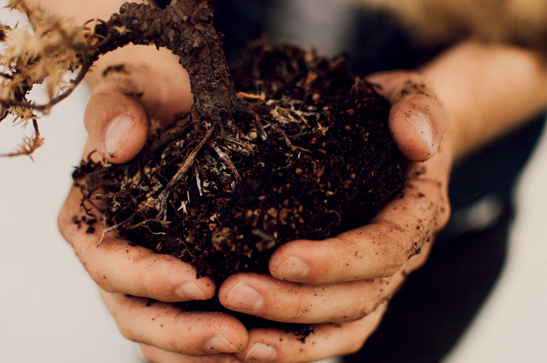 hand holding soil