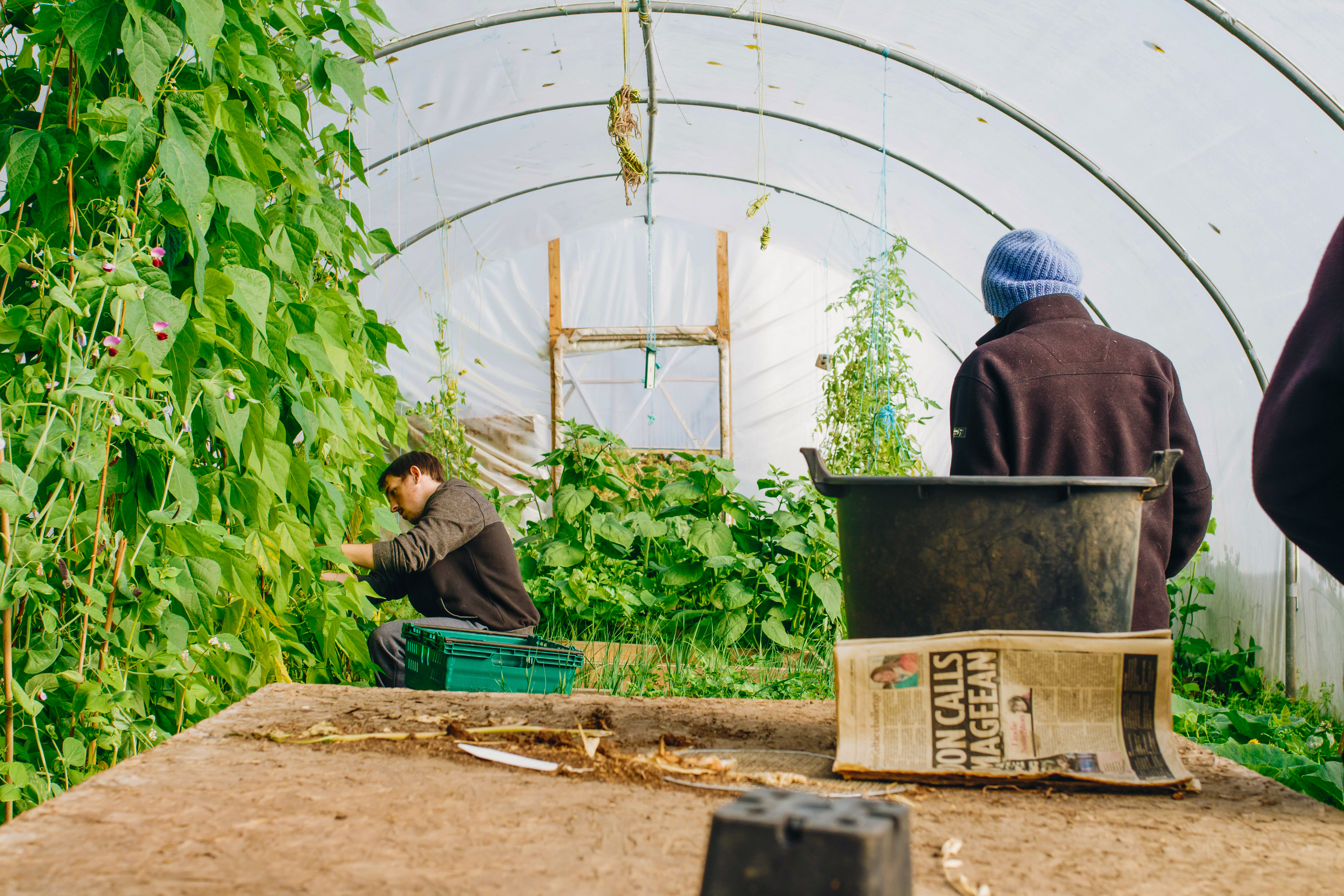 careers in agriculture