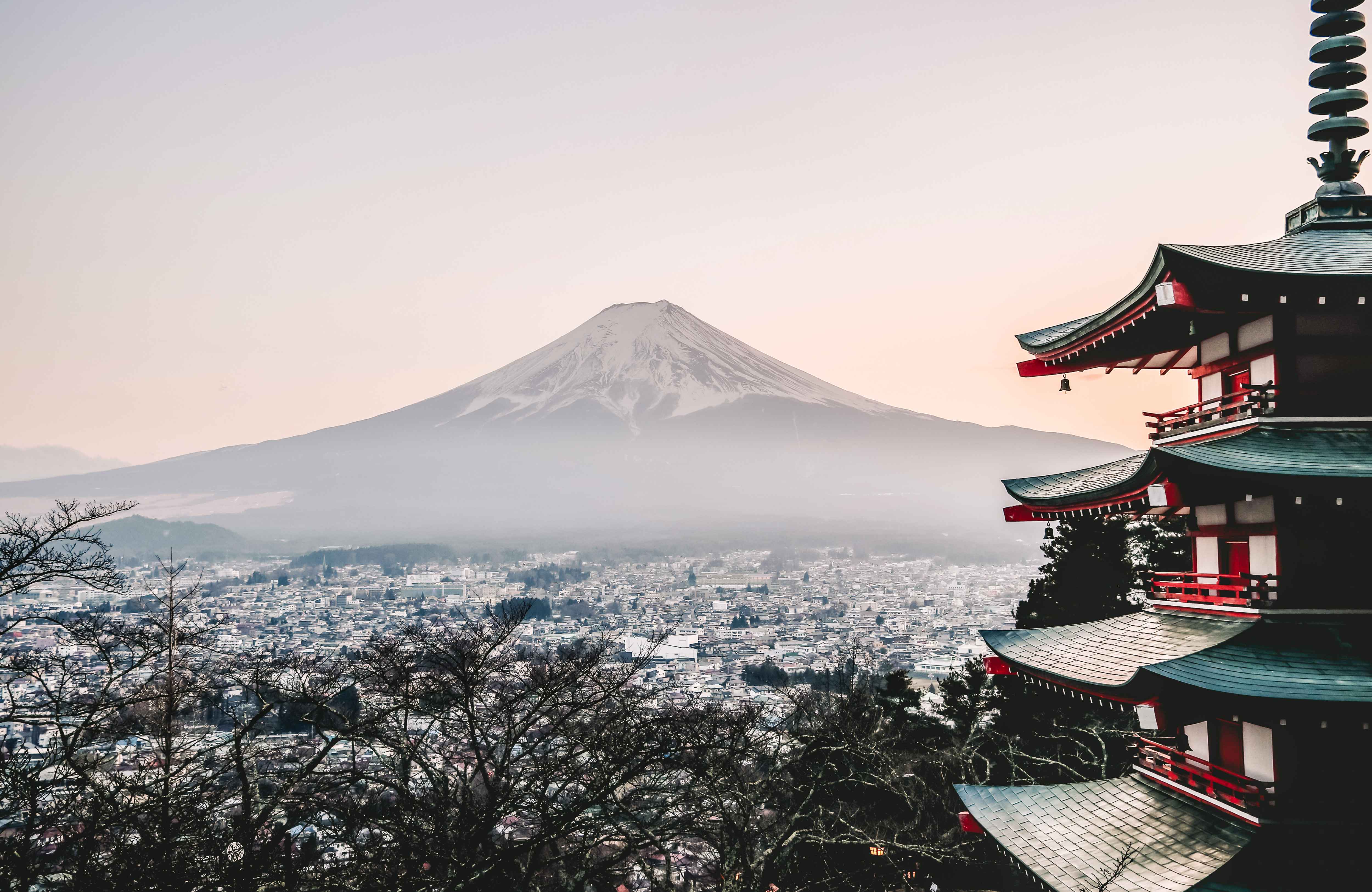 study in japan