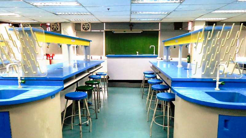 centro escolar university