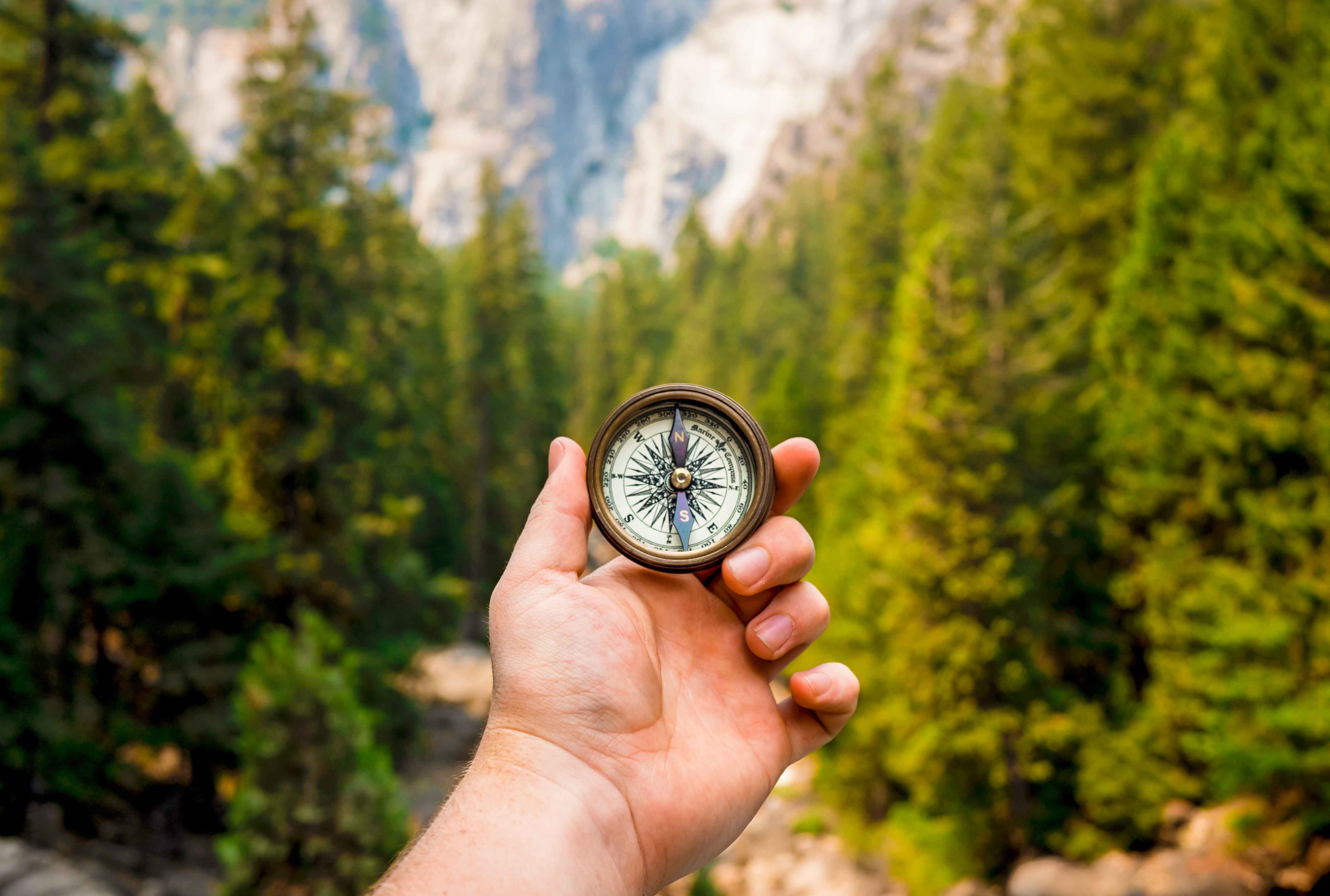 hand holding up a compass in front of a forest