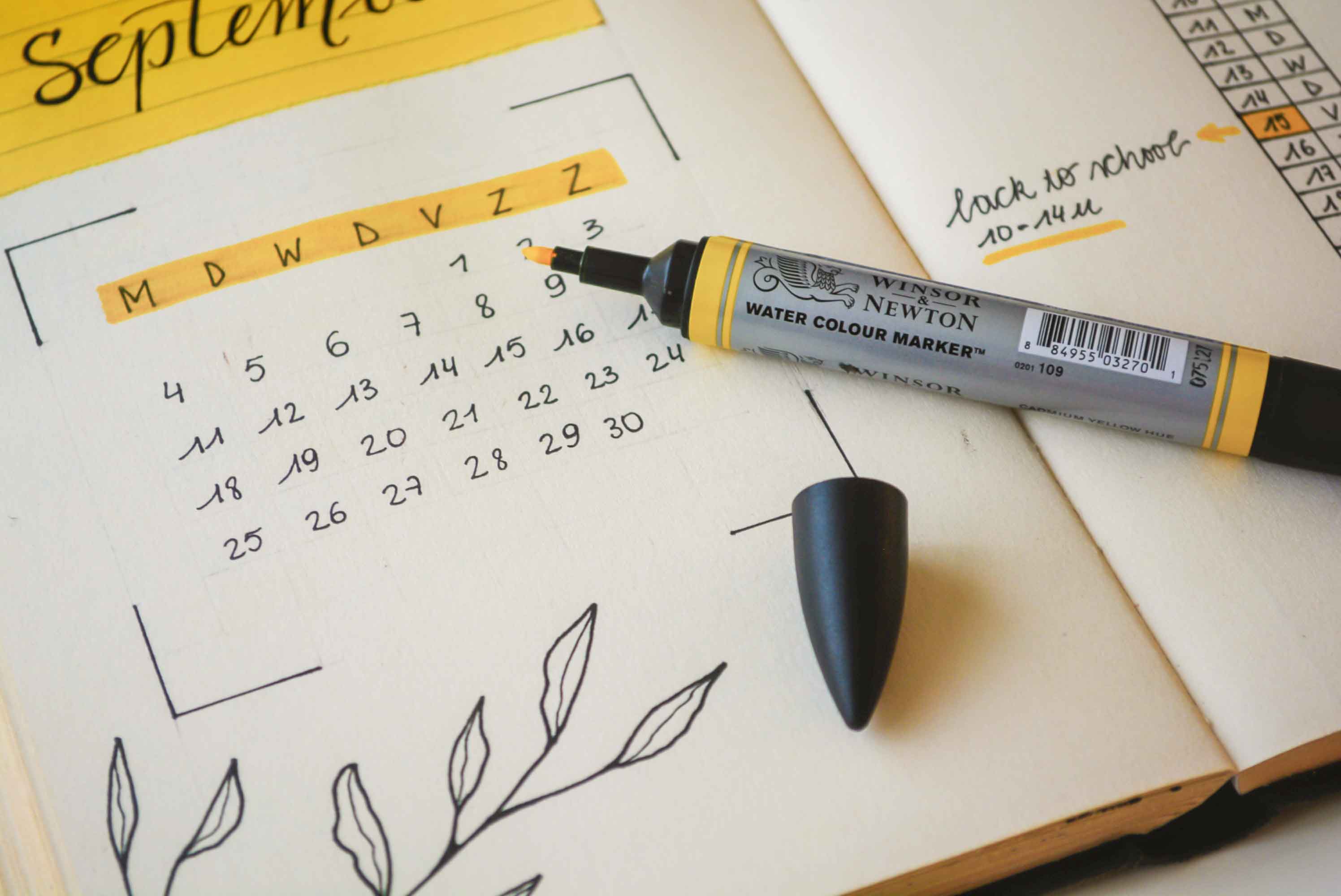 US College Application timeline