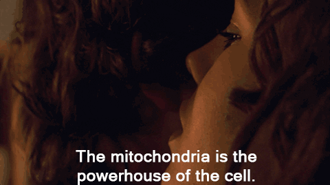Best pre-med courses: BS Biology