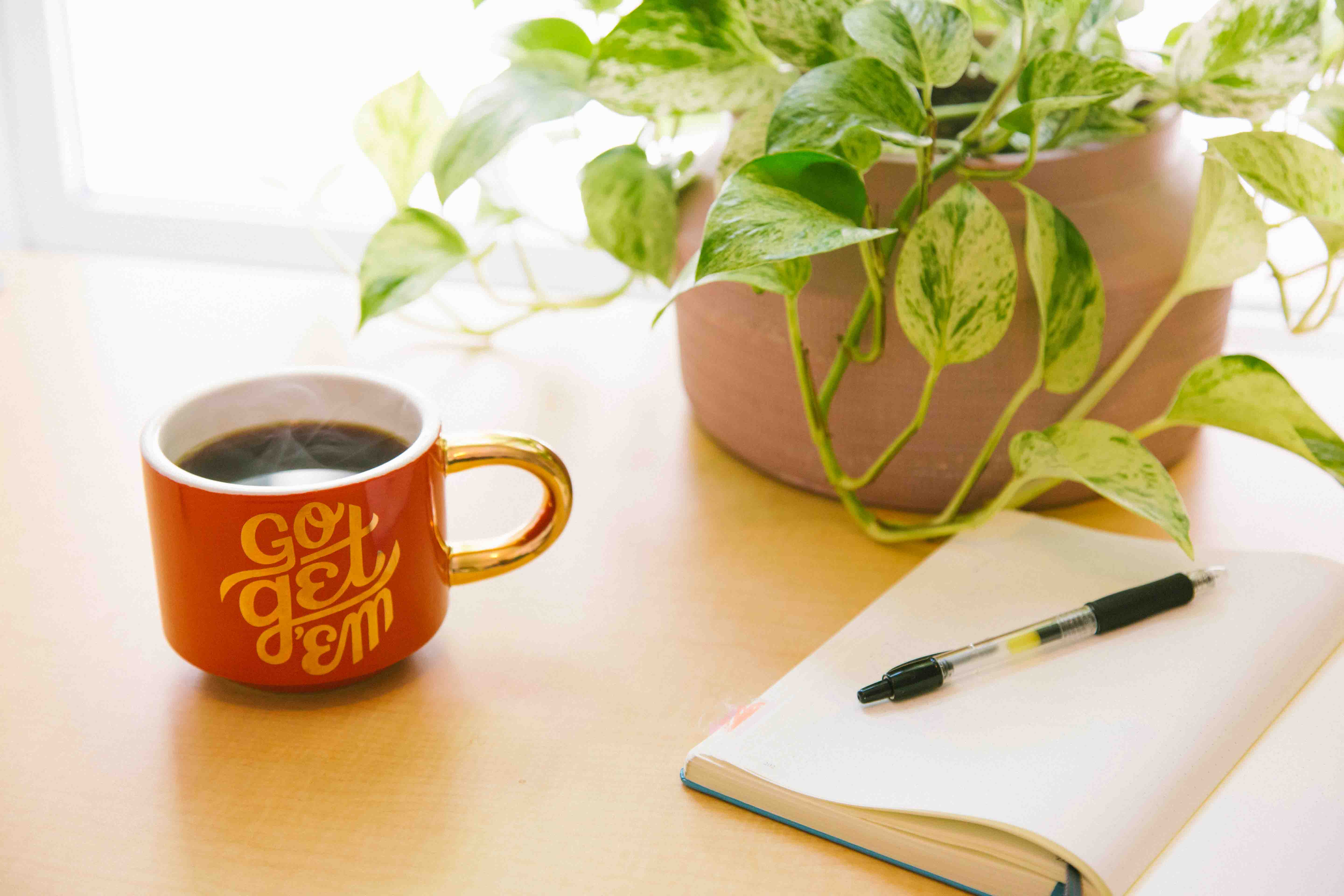 cup of coffee, plant, notebook, and pen on a table