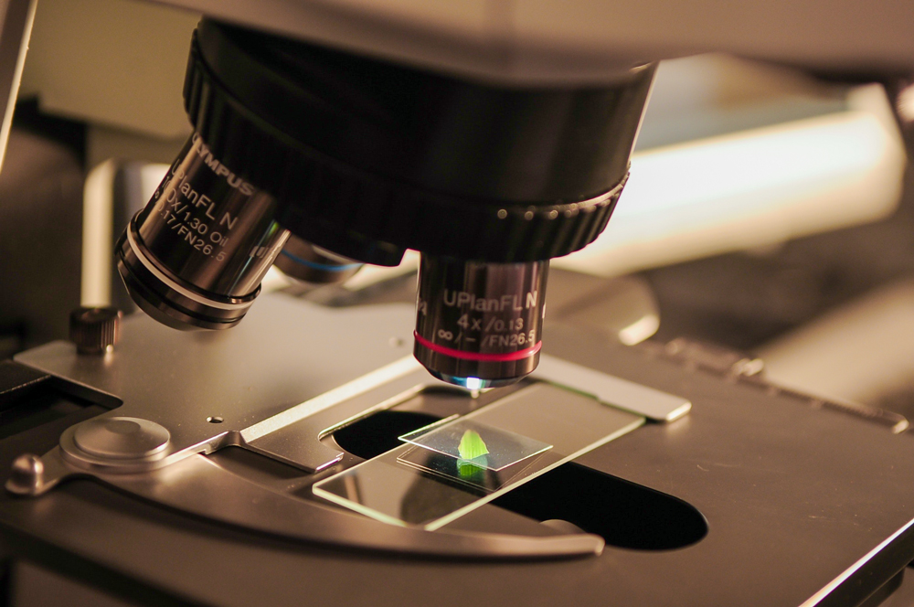 microscope with green specimen