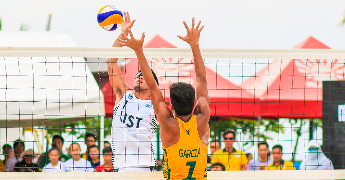 men playing volleyball, international athletic scholarships article image