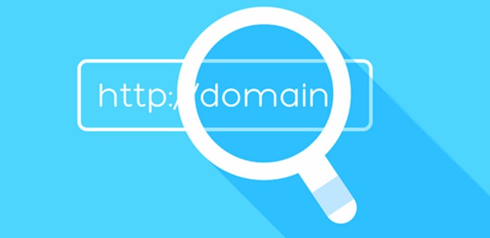 Mengapa toko online Anda memerlukan domainnya sendiri |  EasyStore