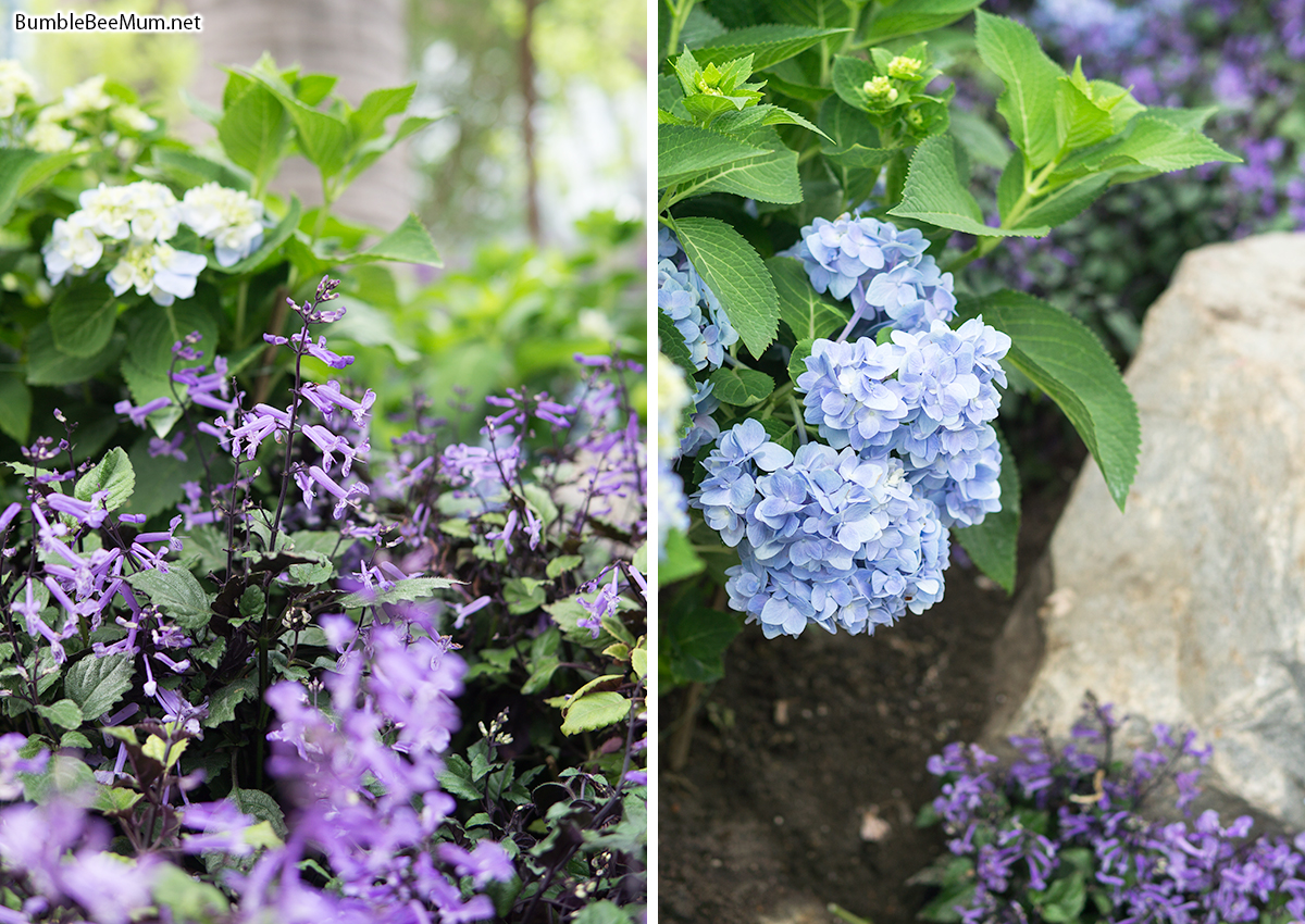 Garden By The Bay Fee simple gardenthe bay fee for design Garden By The Bay Fee simple gardenthe bay fee for design