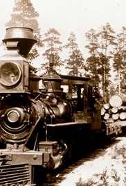 590806