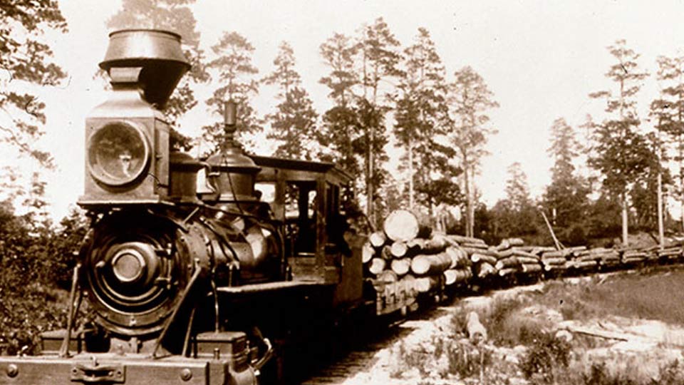 590806