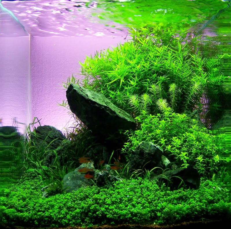 30 L