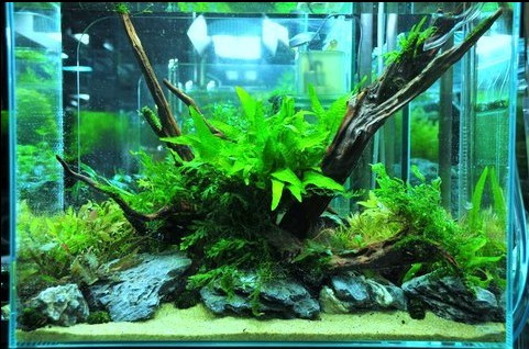 sự khởi đầu mới