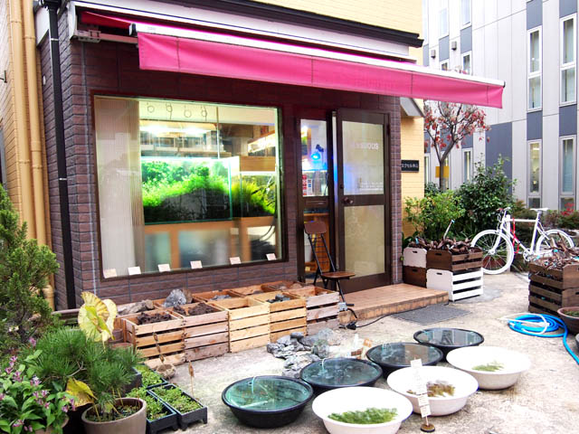 cửa hàng thủy sinh