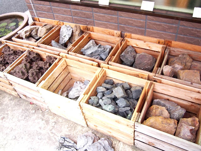 đá thủy sinh