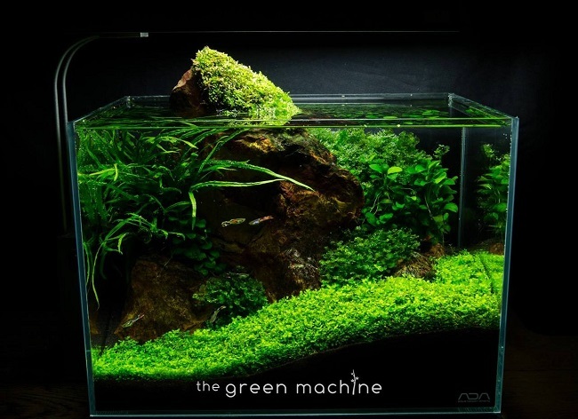 red-rock-green-machine-mini-tank