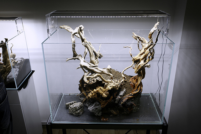 keo dán lũa vào đá