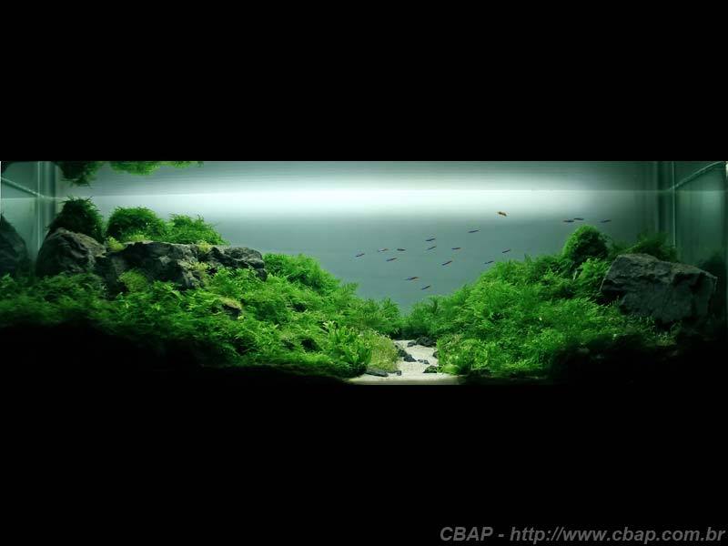 Hồ #017 - 118x37x43 cm (187L)