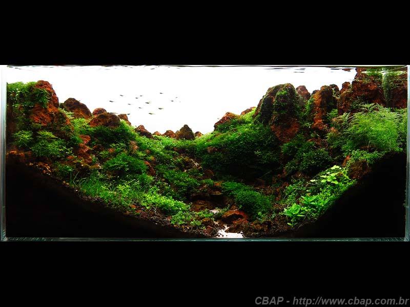 Hồ #018 - 60x30x30 cm (54L)