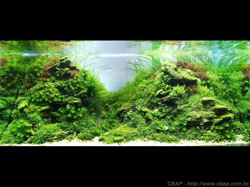 Hồ #095 - 120x80x80 cm (768L)