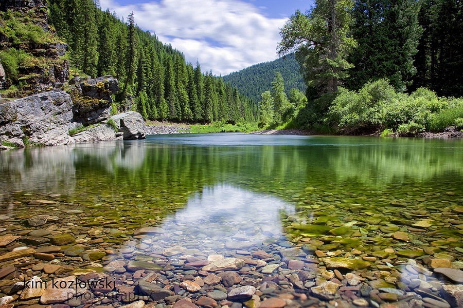 beauty river lanscape for aquarium