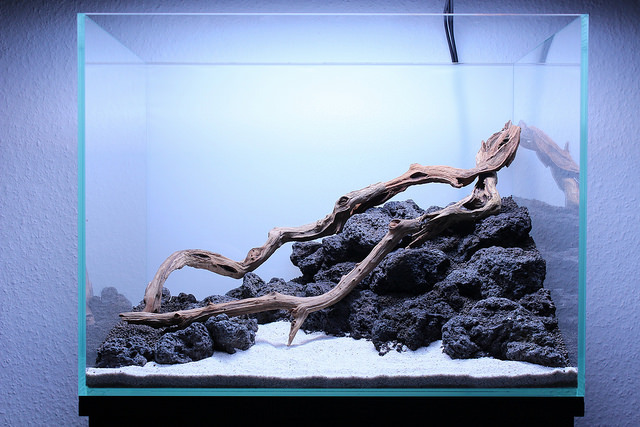 hardscape hồ thủy sinh 60cm