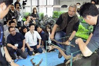 takashi amano bẻ gãy lũa