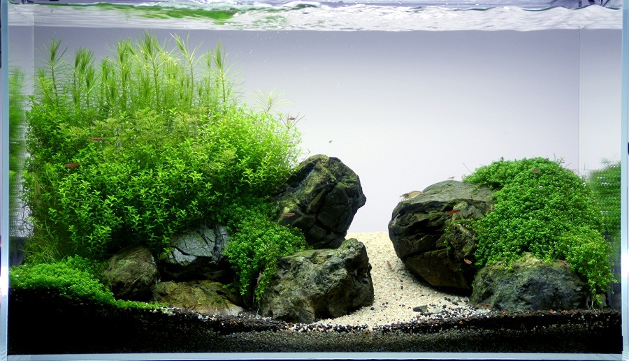 A river runs through it (63 L - 60x30x35)