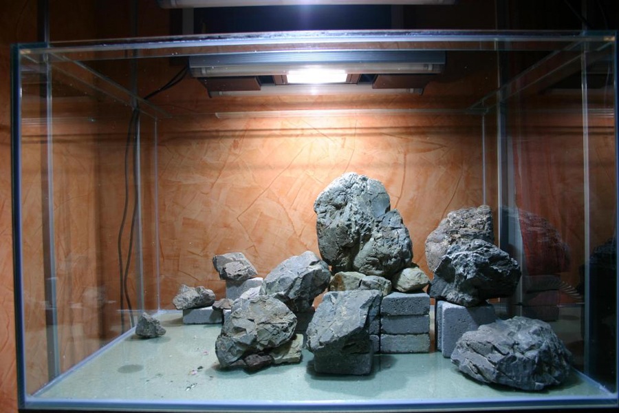 đá trong bể thủy sinh
