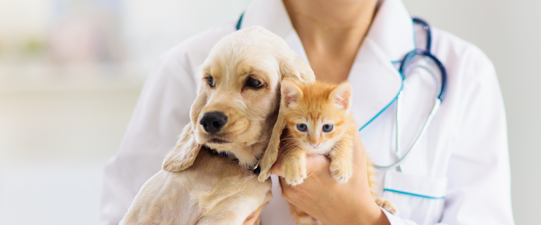 Animal Careers Britannia StudyLink