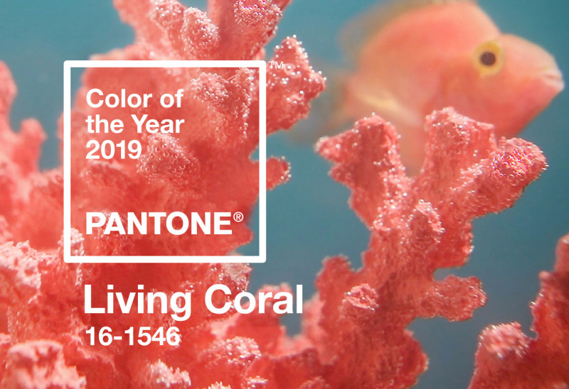 The 2019 Pantone Colour of the Year is Living Coral The 2019 Pantone Colour of the Year is Living Coral