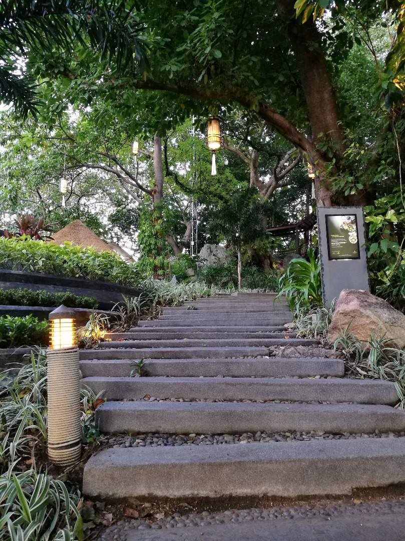 ต่อเติม รีโนเวท Tree Top BAR โดย MEDI DEVELOPMENT CO.,LTD. สุราษฎร์ธานี