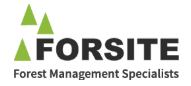 Forsite Consultants Ltd.