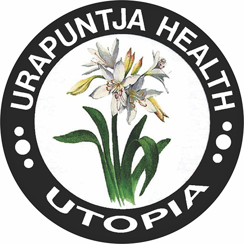 Urapuntja Job Group