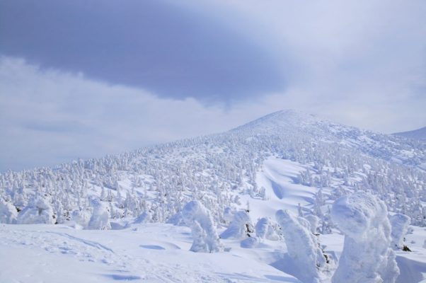 八甲田山樹冰