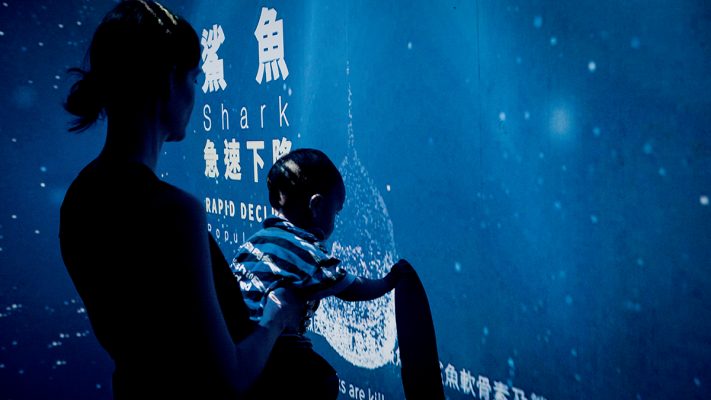 由The Collective團隊創作的項目Disappearing Species，亦具有教育意味。