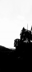 The Ruler