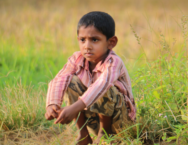 බොල් පිනි අතරින් දිදුලන හෙට දවසකට