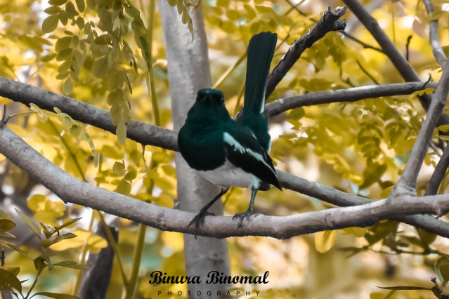 neture