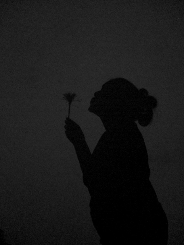 Shadow