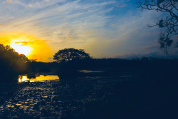 sunrise