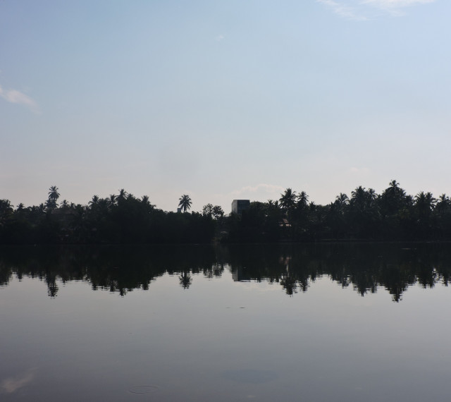 reflect beauty