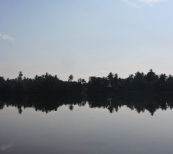 reflect beauty