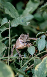Survival of the fittest
