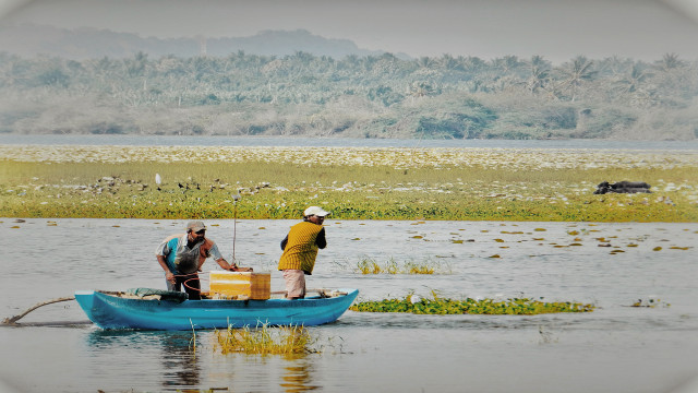 ජීවන ඔරුව