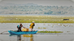 ජීවන ඔරුව