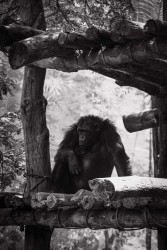 When to go home