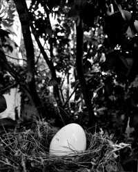 Preparation for tomorrow birth